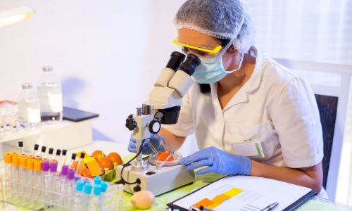 Quality control expert inspecting at chicken eggs in the laboratory, selective focus